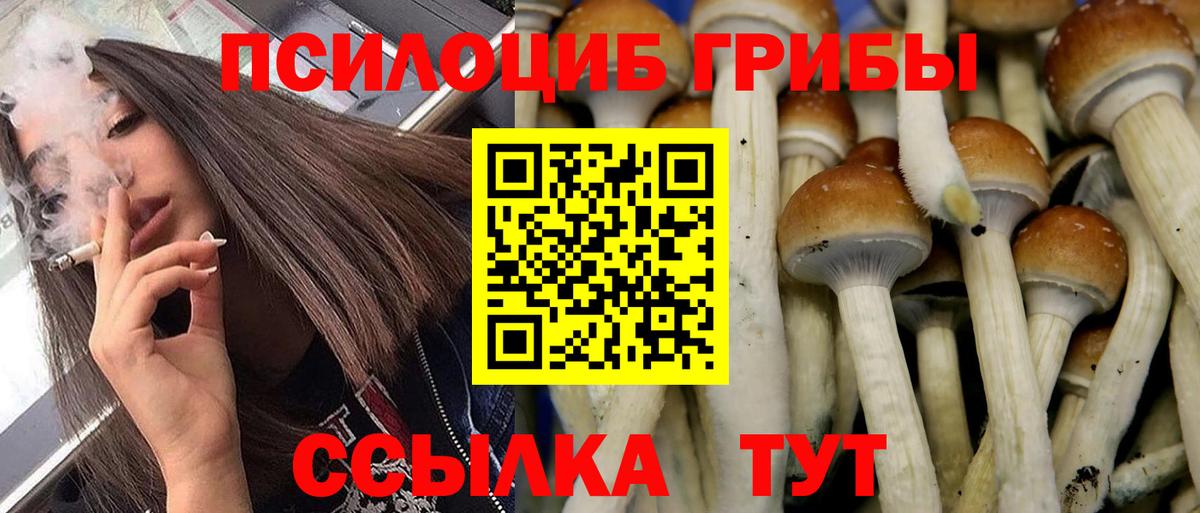 Псилоцибиновые грибы Cubensis  Вход с VPN  Галлюциногенные грибы GOLDEN TEACHER  Оренбург 
